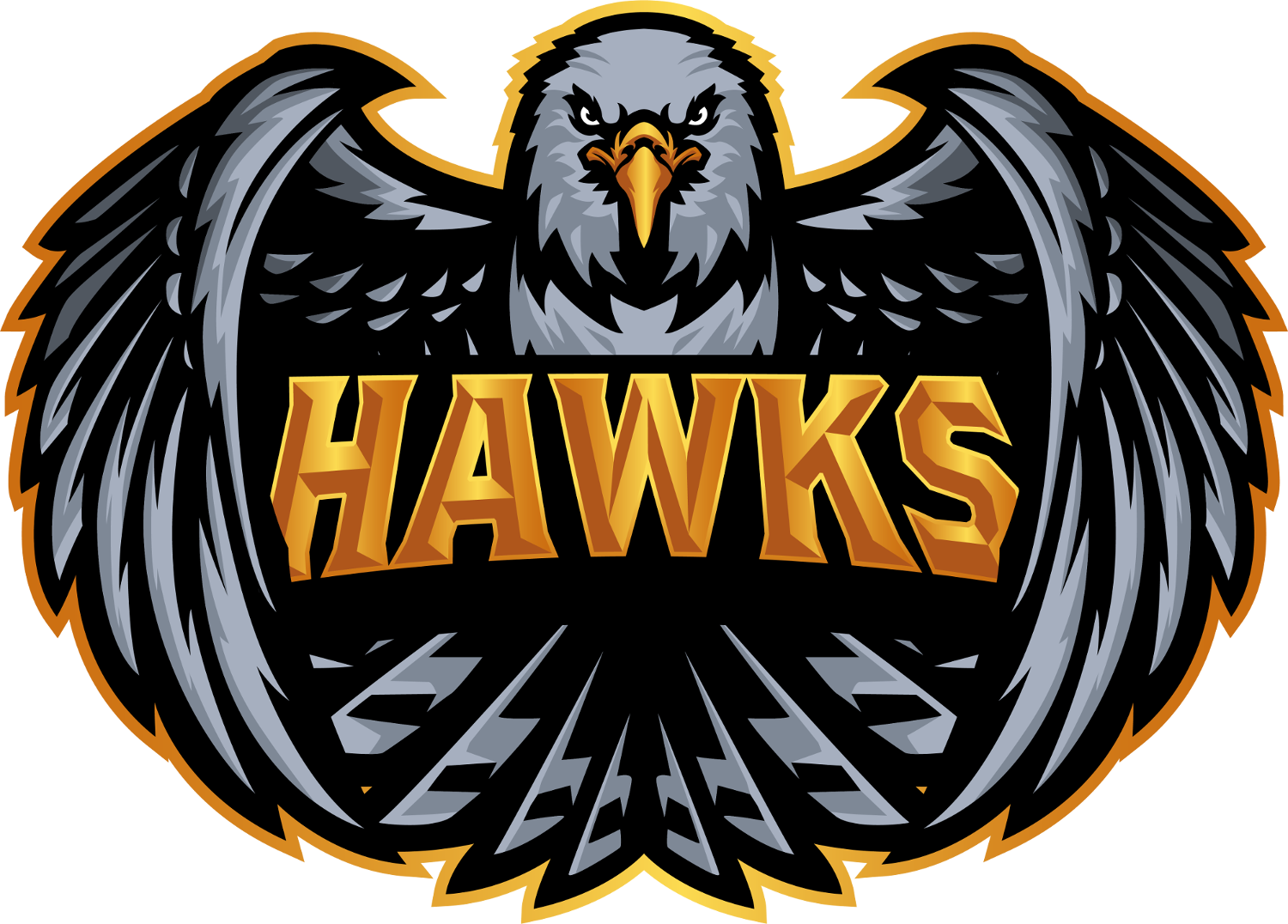 Team logo
