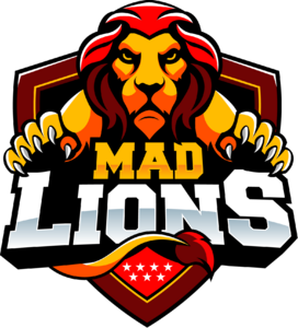 Team logo